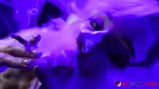 Kitty Quinn smokes her night away in Smoked Out Blondie
