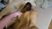 CAUGHT WATCHING PORN - MY HOT STEPSISTER JOINS ME AND TAKES MASSIVE CREAMPIE