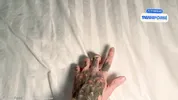 The naive 18 years old teen neighbor asked for help but was Hard fucked by my Dick POV