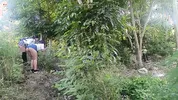 Two busty and big-assed women and an old man have a threesome in the jungle