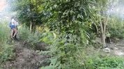 Two busty and big-assed women and an old man have a threesome in the jungle
