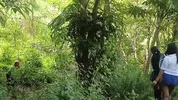 Two busty and big-assed women and an old man have a threesome in the jungle