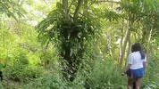 Two busty and big-assed women and an old man have a threesome in the jungle