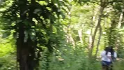 Two busty and big-assed women and an old man have a threesome in the jungle