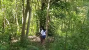 Two busty and big-assed women and an old man have a threesome in the jungle