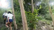 Two busty and big-assed women and an old man have a threesome in the jungle