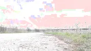 Biker get ride on moto with Queenlin and fuck her ass