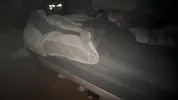 Sneak Into Step Mom Room - She Thought I Was Dad!