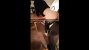 college girls snapchat compilation of dirty fucking - FULL LENGHT