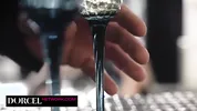 Sasha Rose on a leash for his birthday