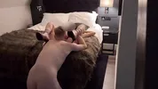 Amateur Teen gets fucked after night out