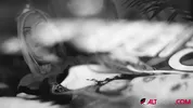 Robin Coffins in claxxxic black and white tease video