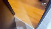 Little stray