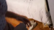 We can't have sex. Rubbing only! OK?