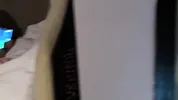 We can't have sex. Rubbing only! OK?