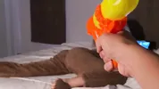 We can't have sex. Rubbing only! OK?