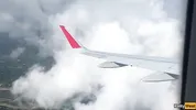 Giving a blowjob on a plane before I get caught with dick in my mouth