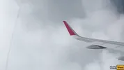Giving a blowjob on a plane before I get caught with dick in my mouth