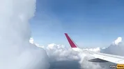Giving a blowjob on a plane before I get caught with dick in my mouth