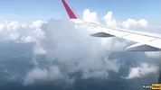 Giving a blowjob on a plane before I get caught with dick in my mouth