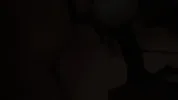 Hot Newbie SLUTS ready to have FUN Compilation
