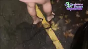 I FUCKED an ITALIAN GIRL behind a CAR OUTSIDE THE CLUB