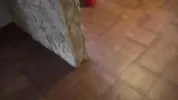 nudist stepmom lets her voyeur stepson cum all over her in the kitchen