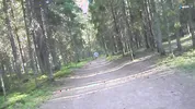 I OFFERED A STRANGER TO FUCK ME IN THE FOREST FOR MONEY