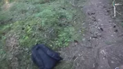 I OFFERED A STRANGER TO FUCK ME IN THE FOREST FOR MONEY