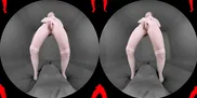 Cecelia Taylor Is So Excited To Fuck You She Can't Contain It Anymore