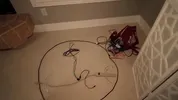 Sexual Activity - Episode 2