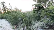 Cumming All Over Cute Hikers Face - Facial Cumshot - AlexAndAva - 4K