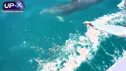 From Boat Romance to Outdoor Creampie Filled Passion