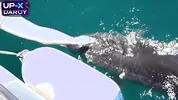 From Boat Romance to Outdoor Creampie Filled Passion