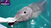 From Boat Romance to Outdoor Creampie Filled Passion