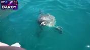 From Boat Romance to Outdoor Creampie Filled Passion