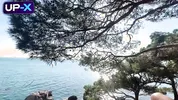 From Boat Romance to Outdoor Creampie Filled Passion