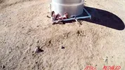 At Last a Redhead To Fuck!