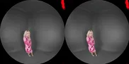 Small Seductive Signals From Emma Rosie Can Only Mean One Thing She Needs Your D