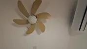 Asian girl never give up but keeps practicing anal sex if ever she can
