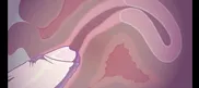 REACTING TO BAD GIRL ANIMATION