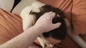 Horny Teen Stepsister Wakes up to my Hard Cock