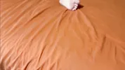 Step Sister’s Last Words Before I Pound Her Little Pussy “I Don’t Get It… OMG Your Cock Is Huge”