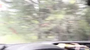 A modest village girl shows her tits and opens her ass to an impudent guy