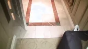 Hot SLUTS take good care of Don Woes's Big Dick