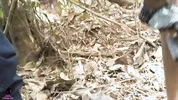 හොර පාරෙන්ම කැලේ පැනලා චූ යන්න හිකුවා Sri Lanka Hot Public Sex