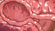 Saitama x Tatsumaki - One-Punch Man Hentai.