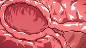 Saitama x Tatsumaki - One-Punch Man Hentai.