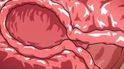 Saitama x Tatsumaki - One-Punch Man Hentai.