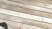 Fucking A Stranger I Met On The Beach- She Likes It Raw